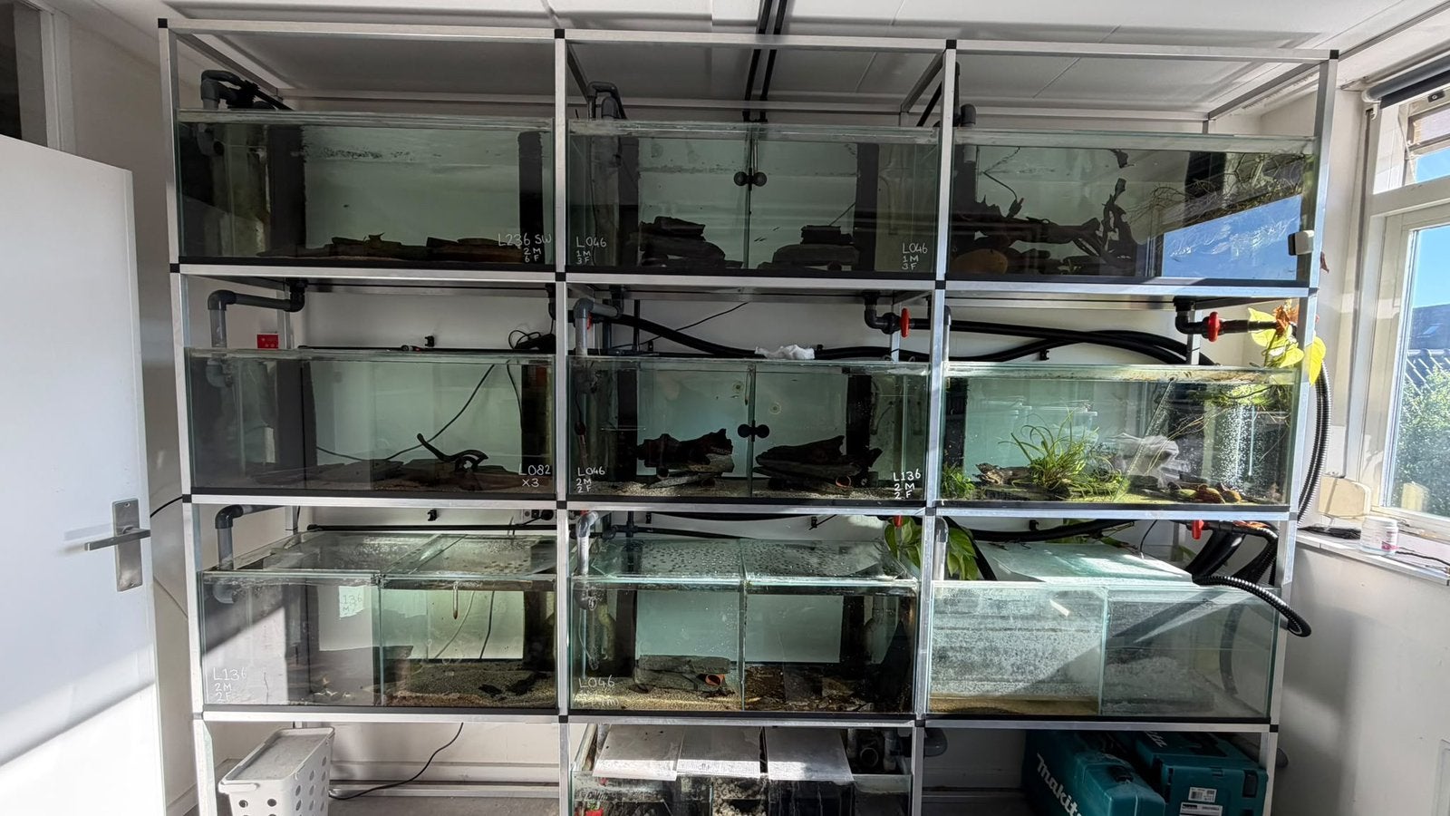 Complete professionele geautomatiseerde aquariumstelling, Ophalen, Pomp, Zo goed als nieuw, Gevuld zoetwateraquarium