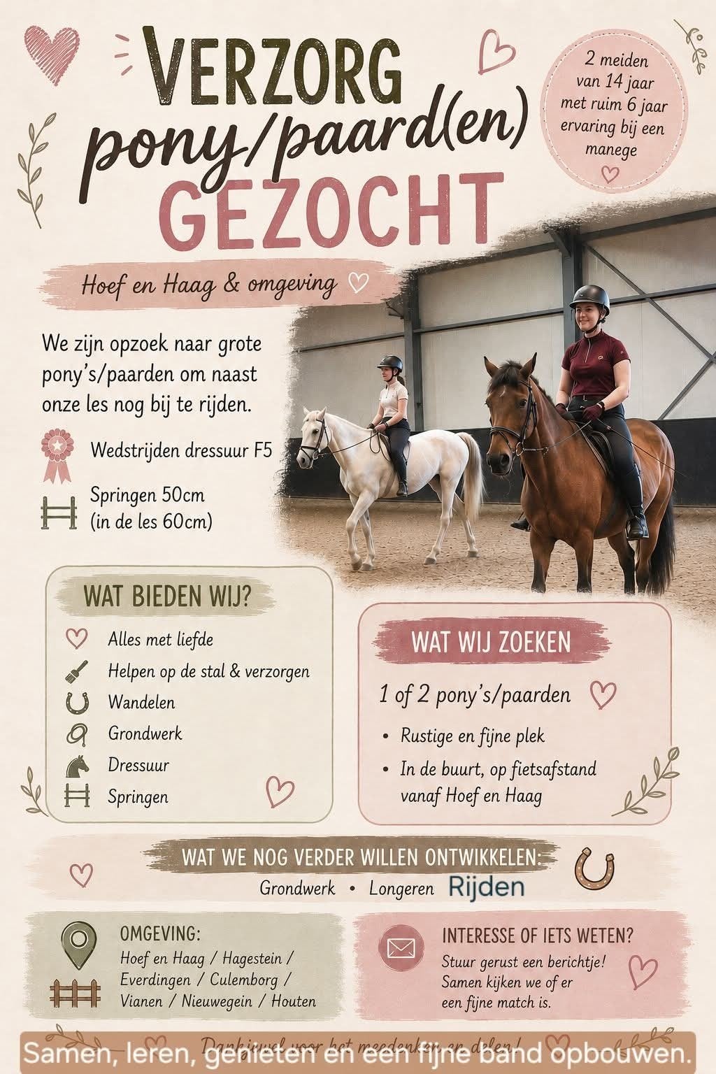 Gezocht: Verzorgpaard(en) of pony(’s) in omgeving vianen, Ophalen, Nieuw