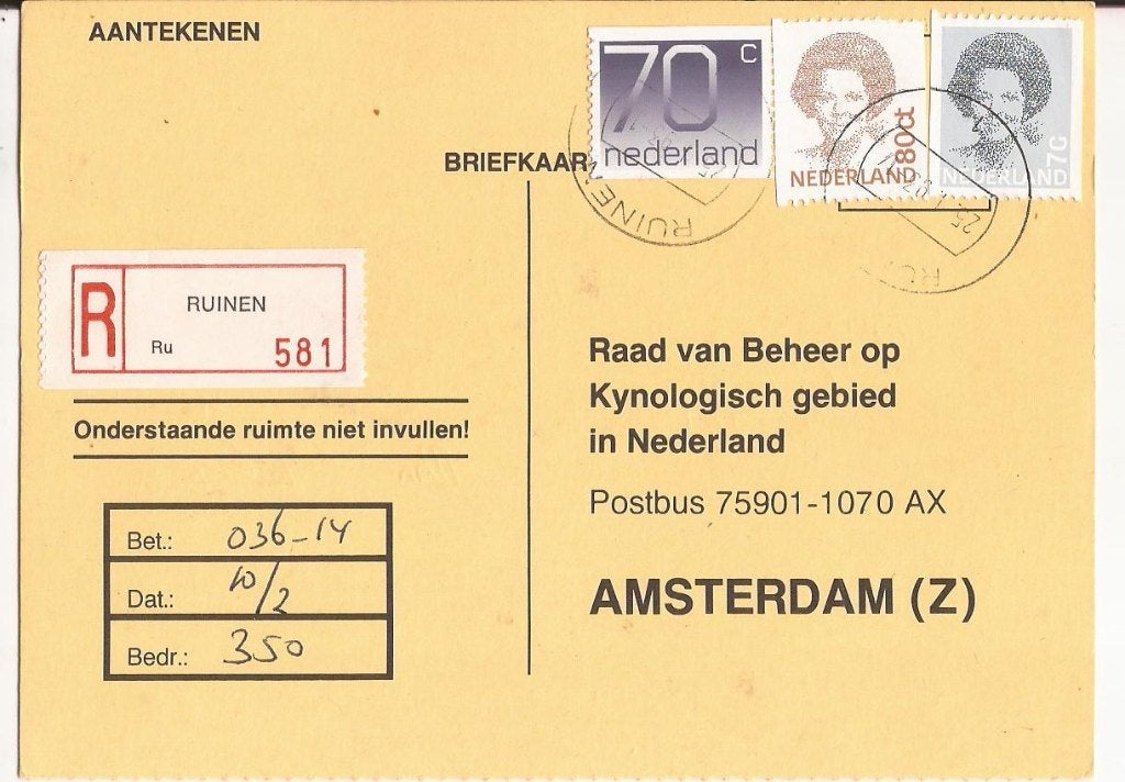 RUINEN 1993 KLEINE Wieringaweg 20 meldt geboorte pups, Ophalen of Verzenden, 1980 tot heden, Gelopen, Drenthe