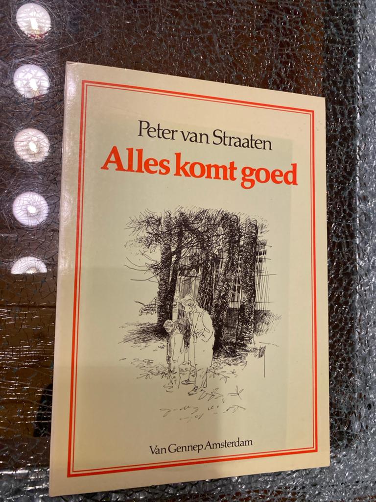Alles komt goed - Peter van Straaten (1981), Ophalen of Verzenden, Gelezen, Nederland
