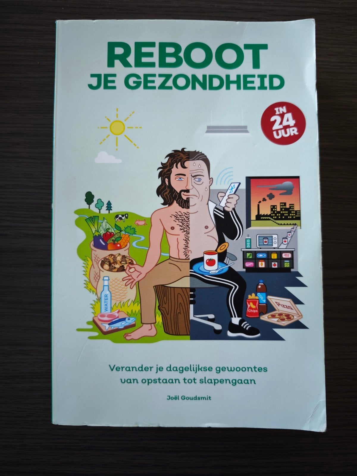 Reboot je Gezondheid in 24 uur - Joël Goudsmit, Ophalen of Verzenden, Zo goed als nieuw, Gezondheid en Conditie, Joël Goudsmit