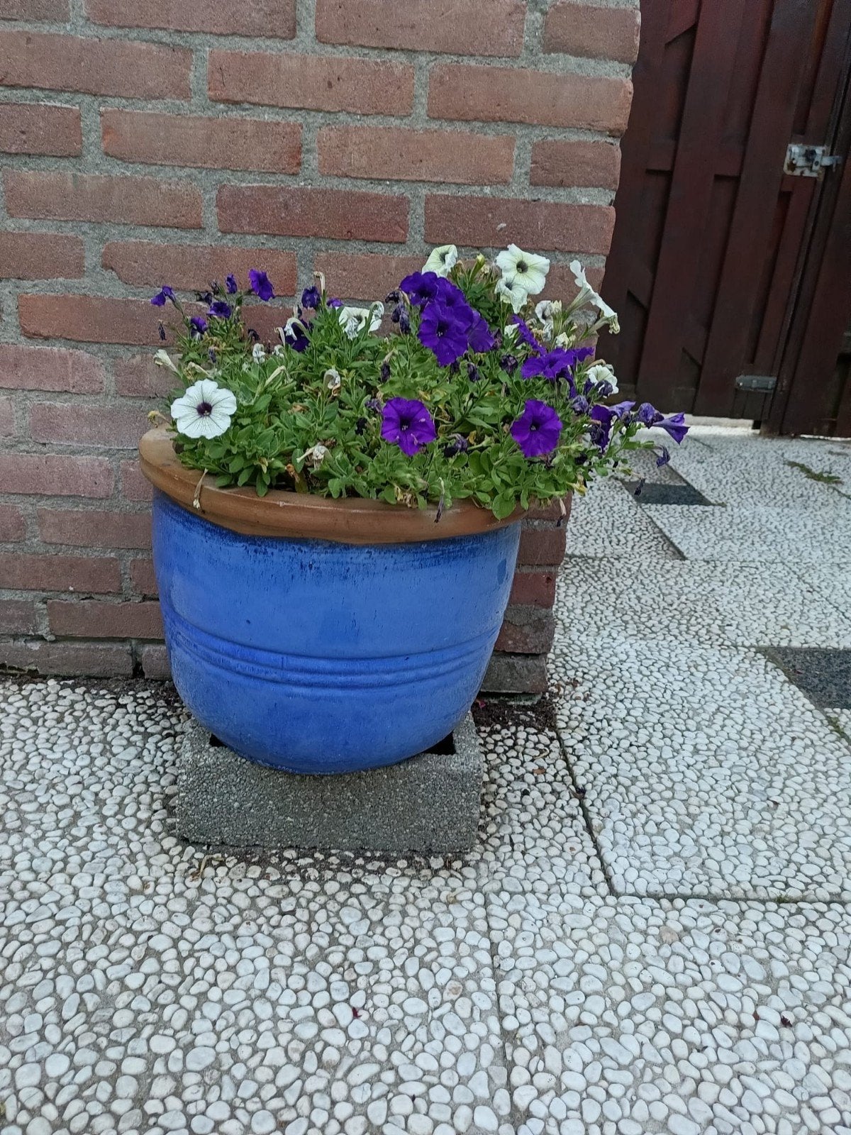 2x Blauwe vazen, klein, 30cm hoog, Ophalen of Verzenden