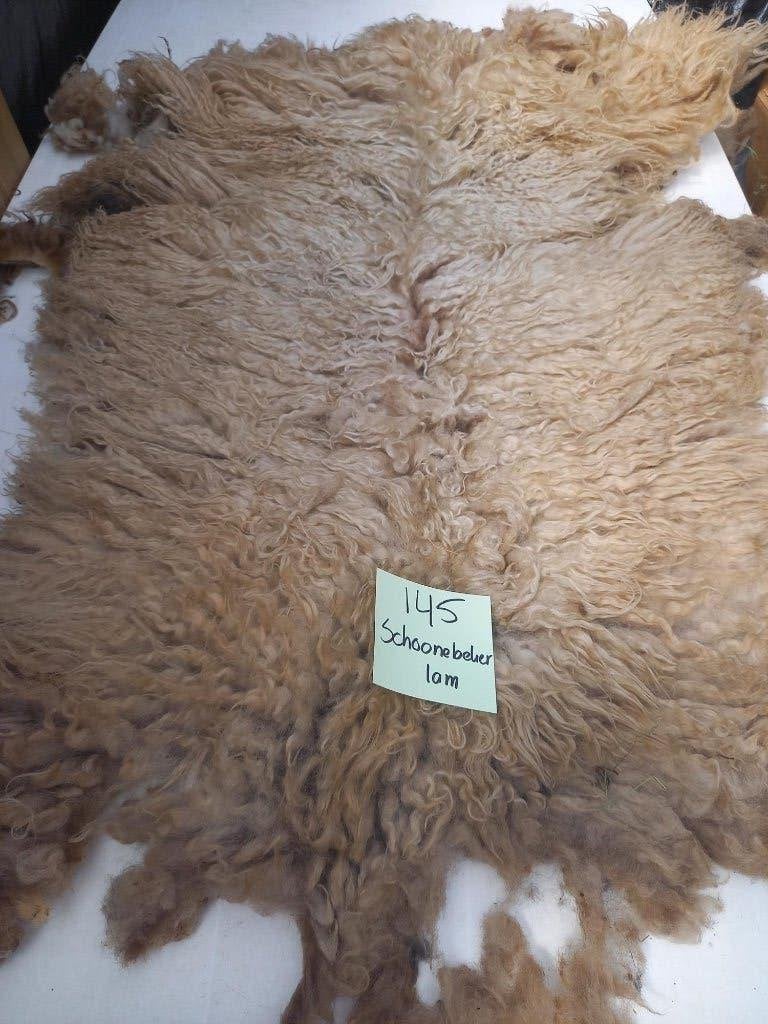 nr 145 Geschoren vacht van een Schoonebeker heideschaap lam, Ophalen of Verzenden, Gebruikt
