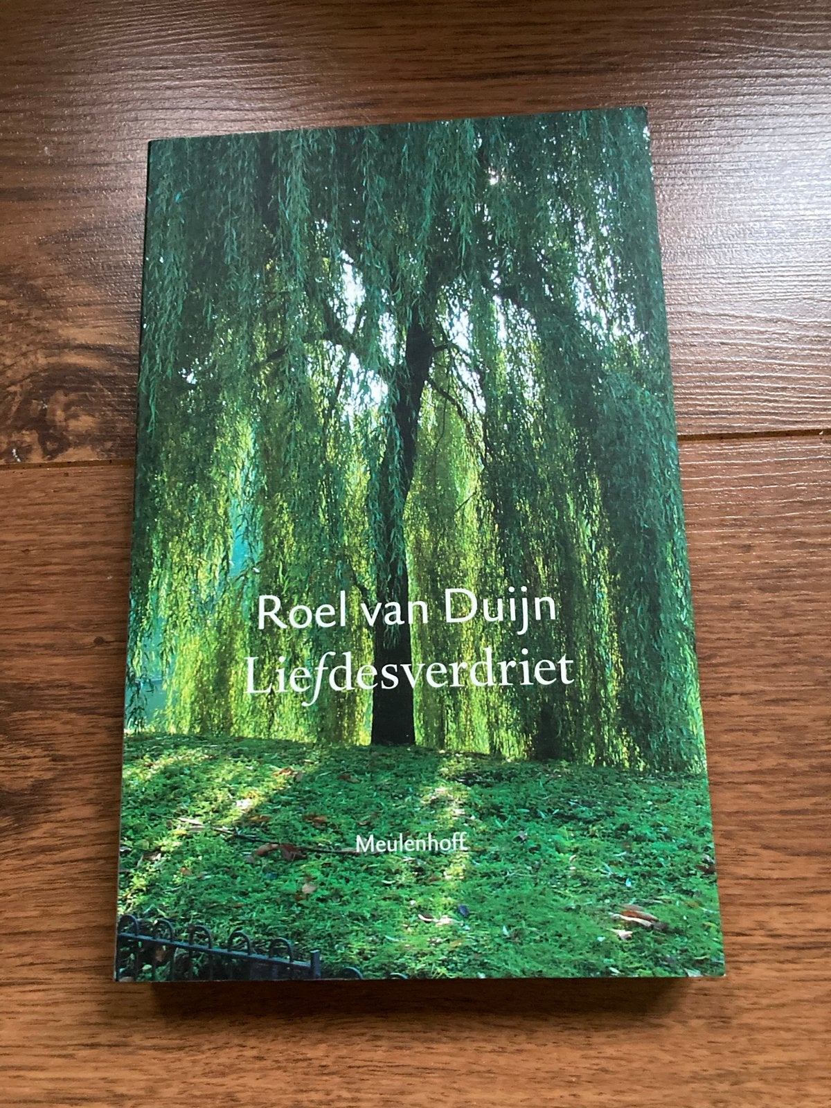 Liefdesverdriet - Roel van Duijn (Boek), Ophalen of Verzenden, Zo goed als nieuw, Nederland