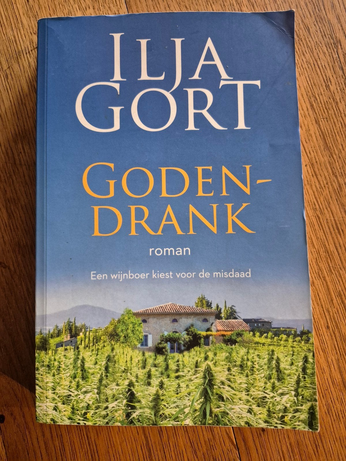 Ilja Gort - Godendrank: Een wijnboer kiest voor de misdaad, Ophalen of Verzenden, Gelezen, Ilja Gort, Nederland