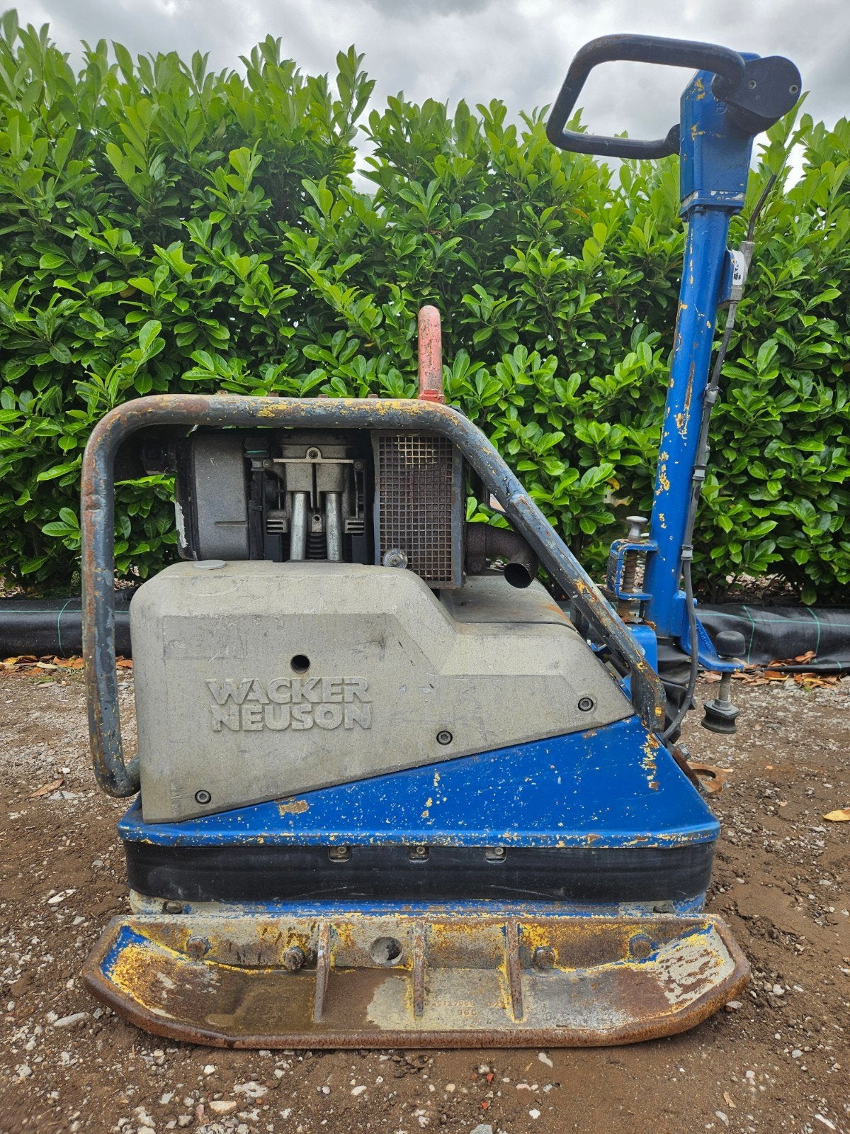Wacker DPU 6555 bj 2013 Hatz diesel trilplaat, Ophalen, Gebruikt
