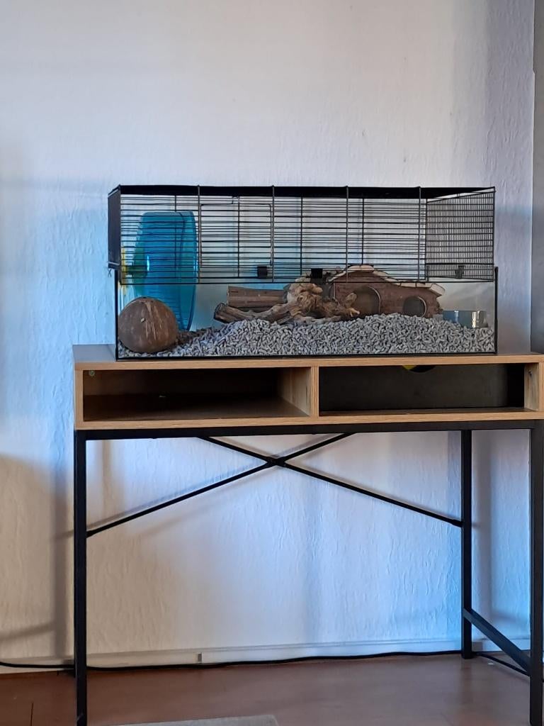 Goudhamster met kooi, Dieren en Toebehoren, Knaagdieren en Konijnen | Hokken en Kooien, Kooi, Minder dan 75 cm, Zo goed als nieuw