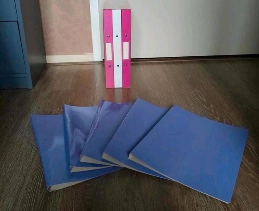Opbergbox incl 3 ringbanden en 5 mappen, Ophalen of Verzenden