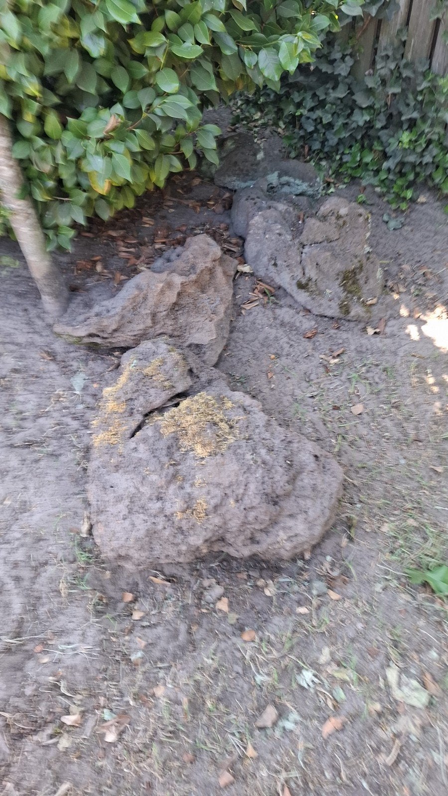 Grote natuurlijke rotsblokken voor tuin of landschap, Tuin en Terras, Overige materialen, Gebruikt, Ophalen of Verzenden, Kei