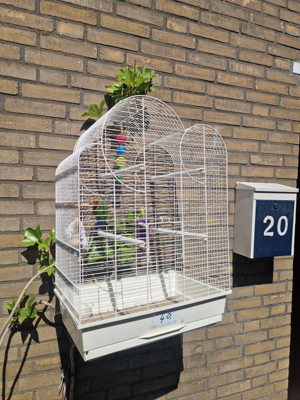 vogelkooi groot kooi volière agapornis, Dieren en Toebehoren, Ophalen of Verzenden, Zo goed als nieuw, Metaal, Vogelkooi