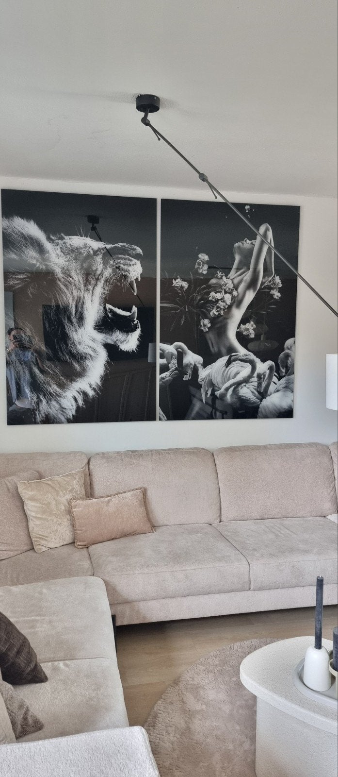 Twee grote plexiglas schilderijen 100x150, Huis en Inrichting, Woonaccessoires | Schilderijen, Tekeningen en Foto's, Ophalen, Zo goed als nieuw