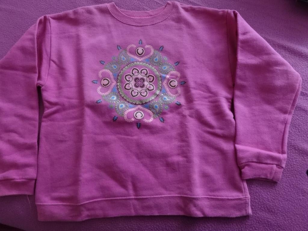 roze trui/ sweather met opdruk glitter mt 146/152, Kinderen en Baby's, Kinderkleding | Maat 152, Ophalen of Verzenden, Gebruikt