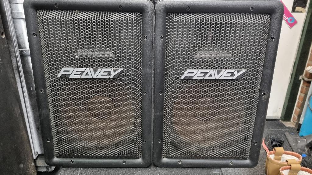 peavey stadia ii b  2 stuks Kunstof speakers., Gebruikt, 120 watt of meer, Front, Rear of Stereo speakers, Ophalen