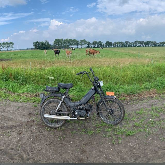 TOMOS VOOR EEN PROJECT GEZOCHT, Fietsen en Brommers, Brommers | Puch, Ophalen of Verzenden, Zo goed als nieuw, Overige modellen