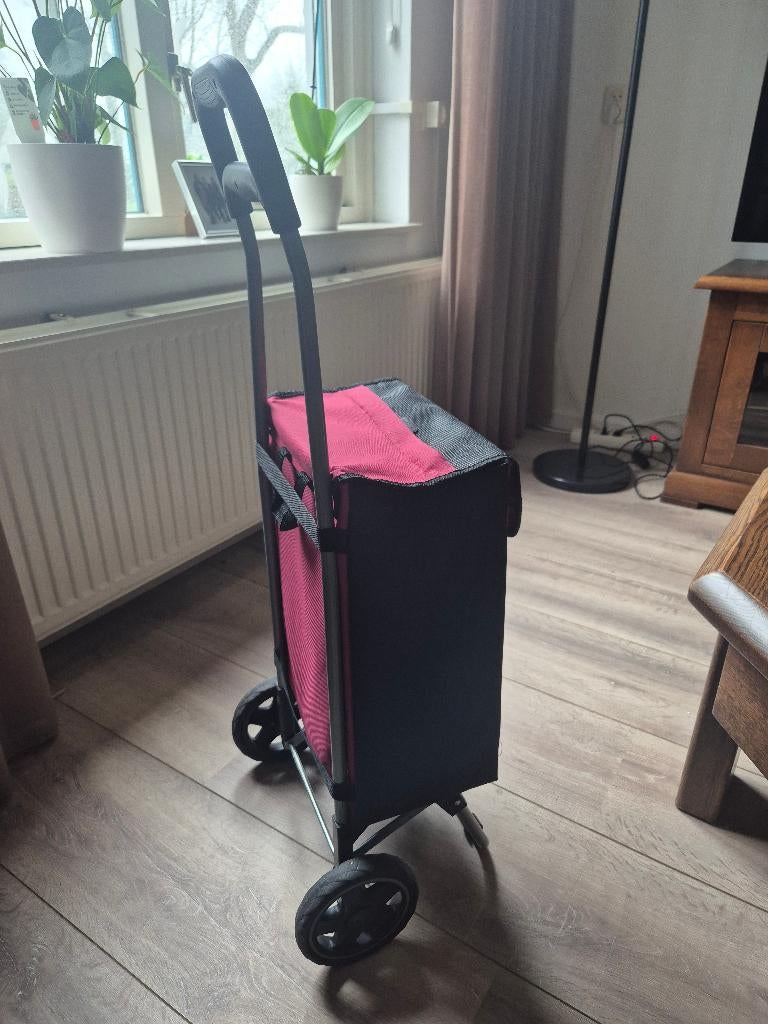 Boodschappentrolley, Sieraden, Tassen en Uiterlijk, Tassen | Reistassen en Weekendtassen, 20 tot 30 cm, Minder dan 40 cm, Zo goed als nieuw