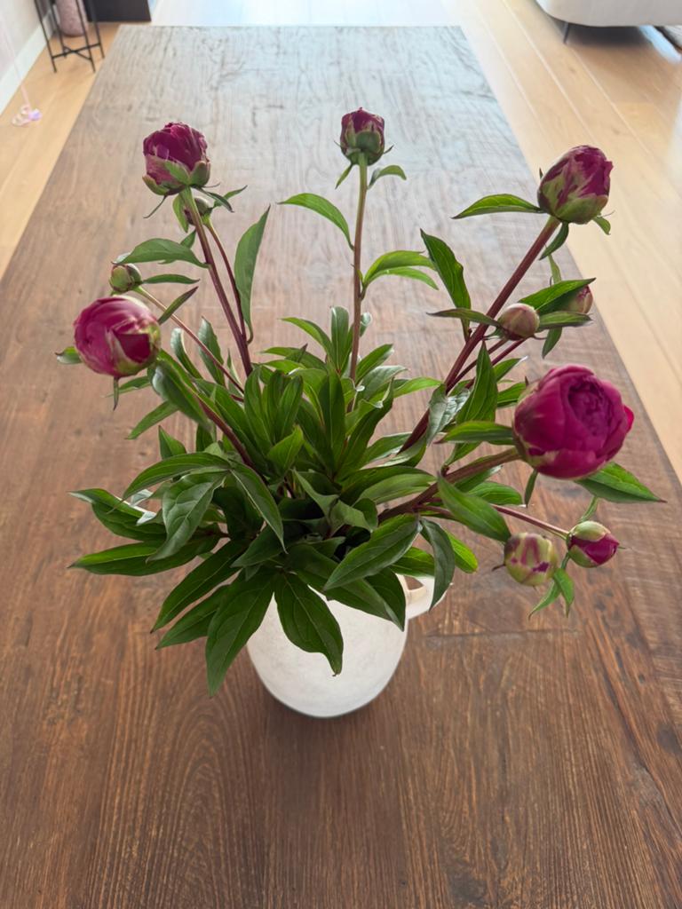 Eettafel Heritage Goossens, Ophalen, Teakhout, 200 cm of meer, 50 tot 100 cm