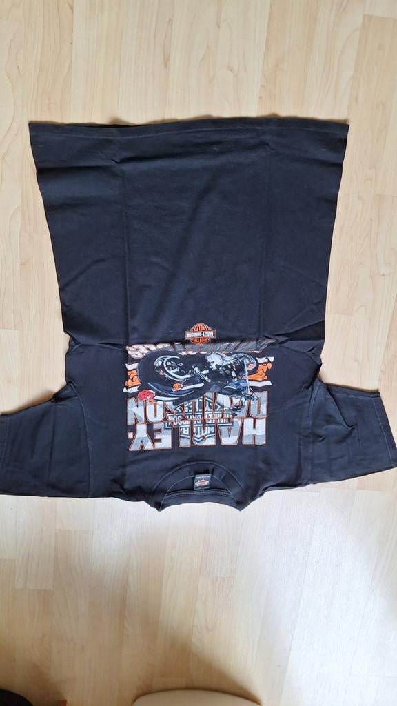 Harley-Davidson T-shirt Zwart Maat L, Maat 52/54 (L), Zwart, Ophalen of Verzenden, Gedragen