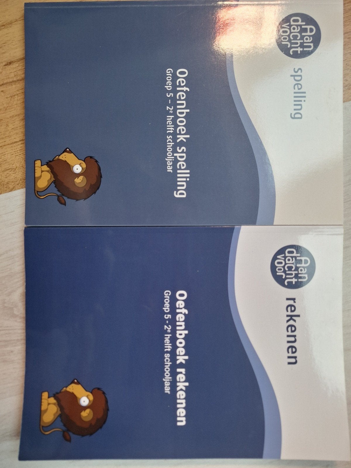 Oefenboeken spelling & rekenen Groep 5 - 2e helft schooljaar, Ophalen, Zo goed als nieuw, Overige niveaus, Nederlands