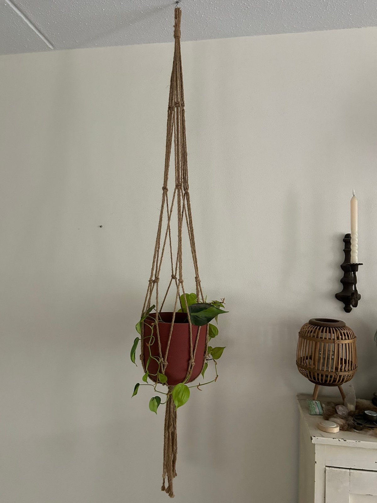 Macramé Planthanger met Elho Binnenpot (Ø 23 cm), Ophalen, Kunststof, Minder dan 30 cm, Rond