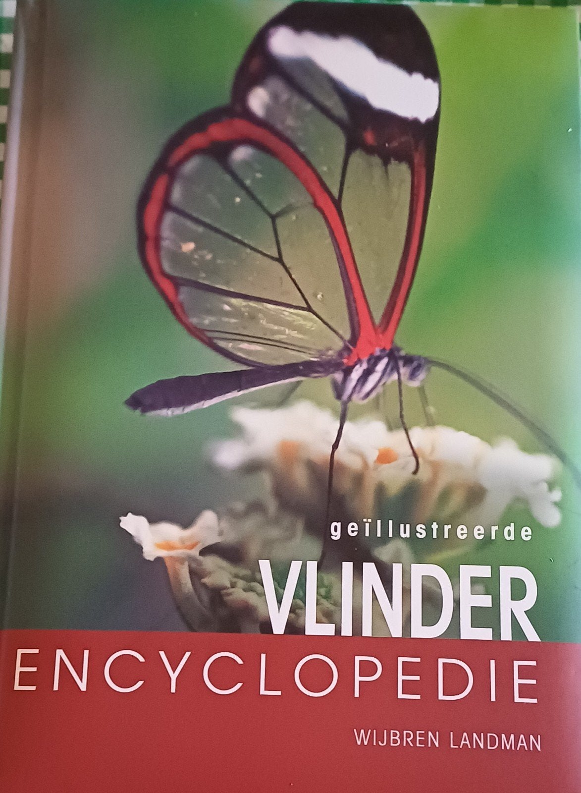 Geïllustreerde Vlinder Encyclopedie - Wijbren Landman, Wijbren Landman, Ophalen of Verzenden, Zo goed als nieuw, Los deel