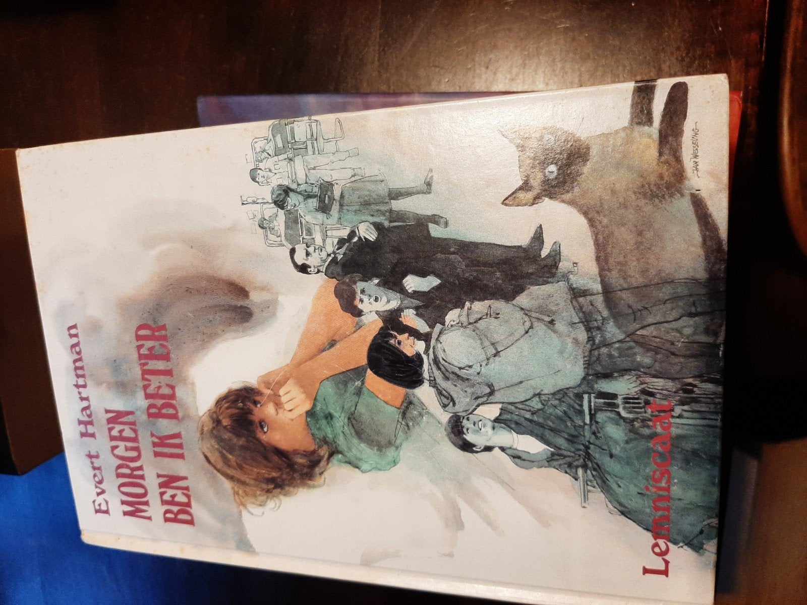 Morgen ben ik beter - Evert Hartman (Luitingh-Sijthoff), Boeken, Ophalen of Verzenden