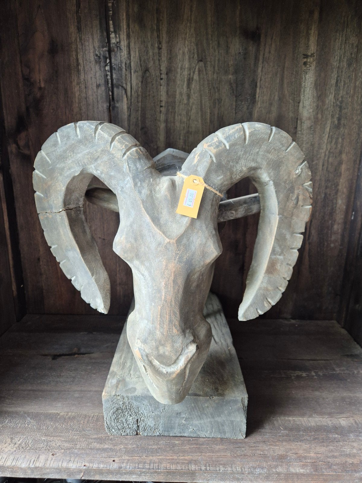 Stoer houten ram hoofd - Nieuw!!, Hout, Www.vrumdwonen.nl, Het Logement 9, Nieuw