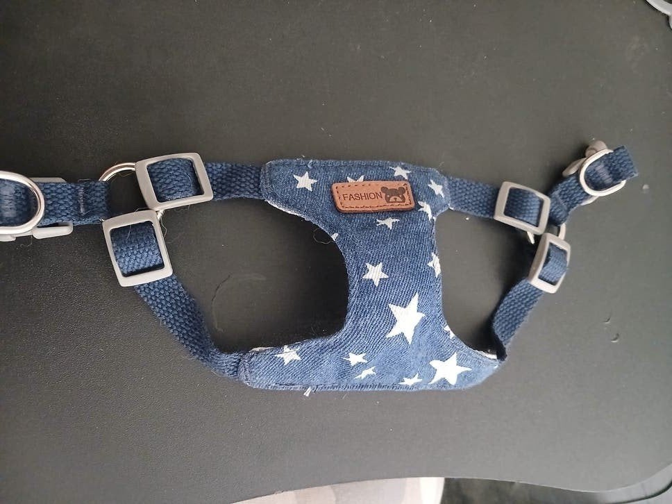 Hondentuigje spijkerstof maat s, Dieren en Toebehoren, Honden-accessoires, Ophalen, Zo goed als nieuw