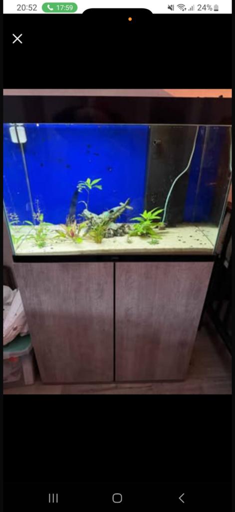 Aquarium, Ophalen of Verzenden, Zo goed als nieuw, Gevuld zoetwateraquarium