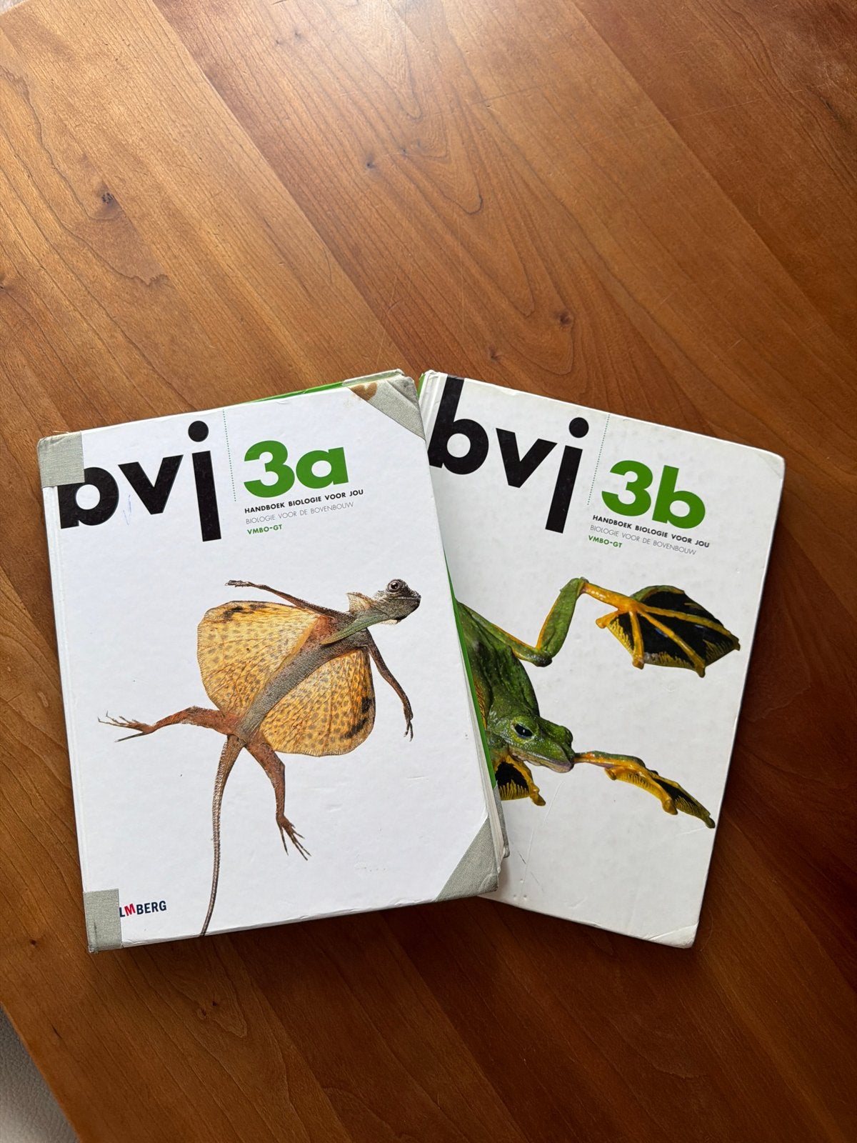 Bvj Biologie voor Jou 3a & 3b VMBO-GT Handboeken, Boeken, Schoolboeken, Ophalen of Verzenden, Gelezen, VMBO, Biologie