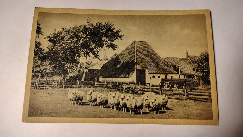 Texel TEXELSE BOERDERIJ, Ophalen of Verzenden