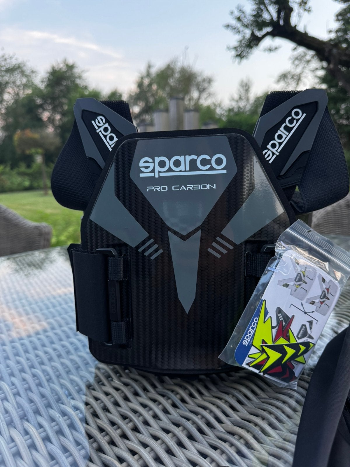 Nieuwe Sparco Pro-Carbon ribbeschermer met FIA keuring., Sport en Fitness, Karting, Ophalen of Verzenden, Zo goed als nieuw, Onderdelen Kart