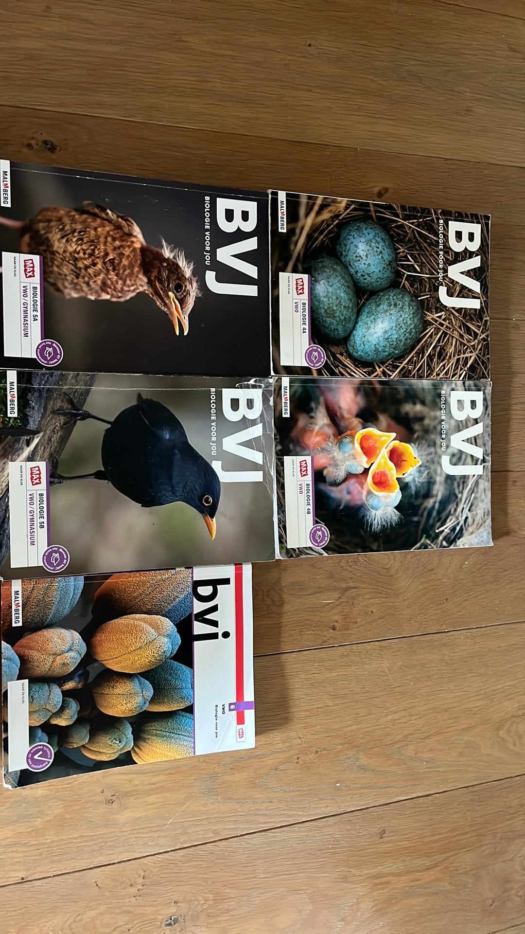 Biologie voor jou VWO deel 4 AB, 5AB, 6, Ophalen of Verzenden, Gelezen, VWO, Biologie