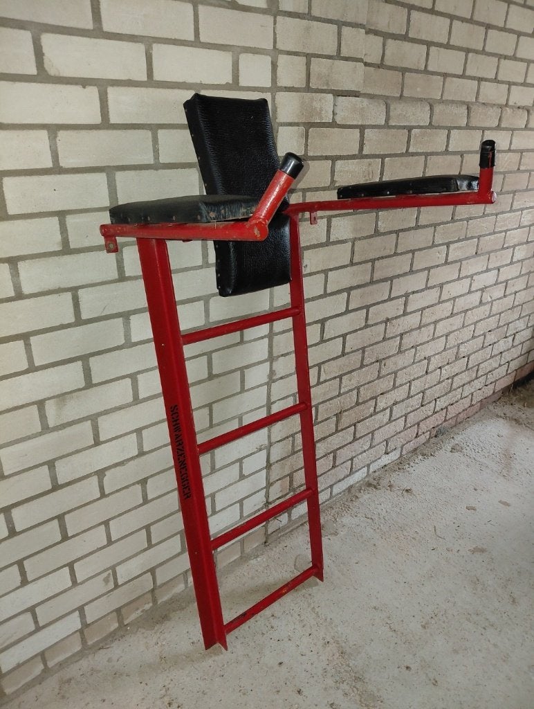 Captain's Chair /Buikspier- & Dipstation Stevig Stalen Model, Ophalen, Gebruikt, Armen, Krachtstation