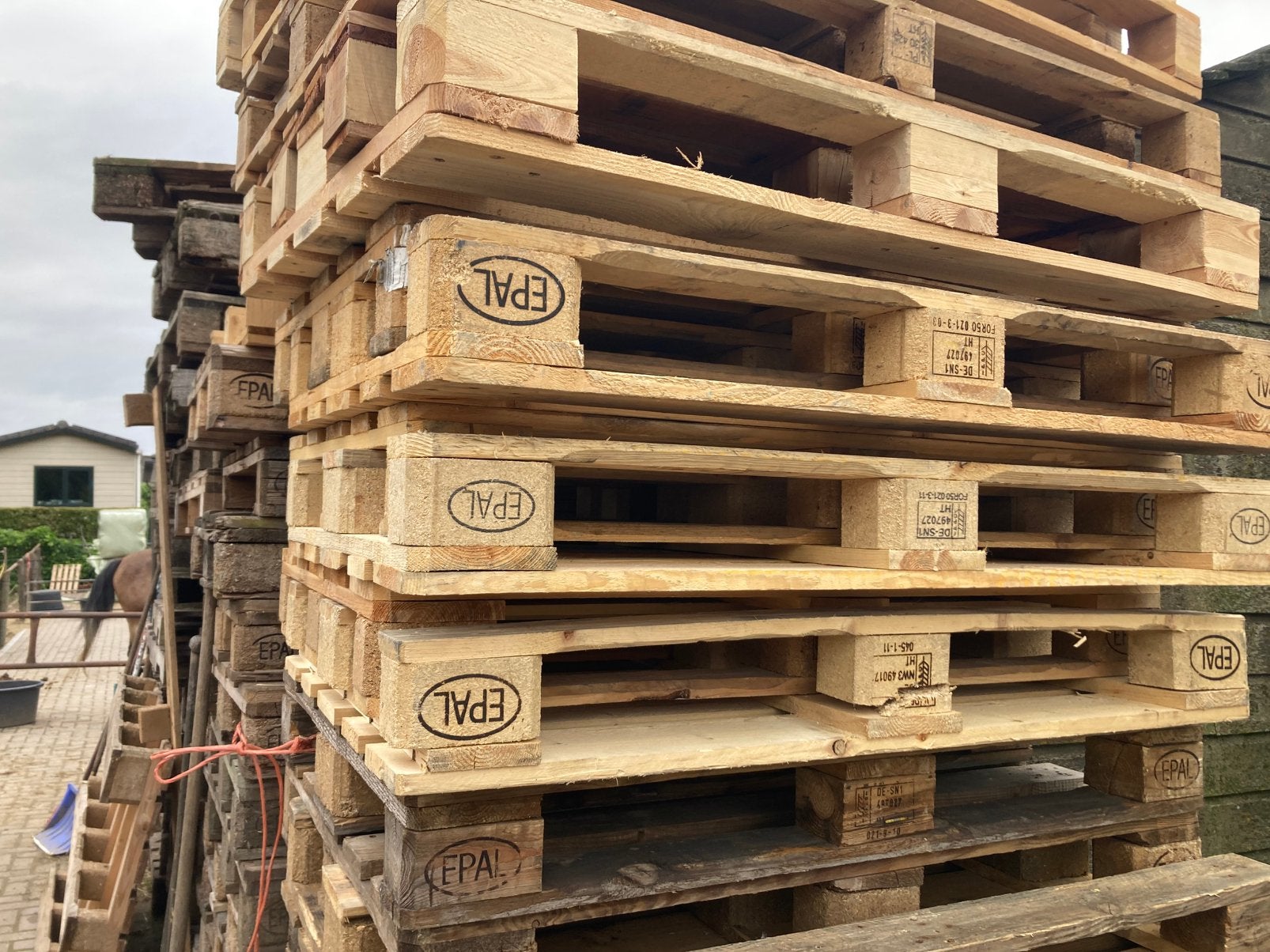 Europallets en gewone pallets leuk voor tuinmeubels, Ophalen, 25 tot 50 mm, Zo goed als nieuw, Pallet
