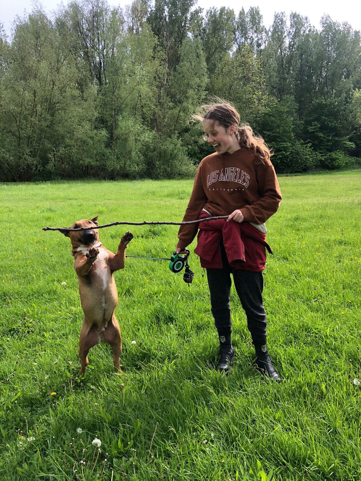 Ervaren honden uitlater/oppas aangeboden!, Ophalen of Verzenden