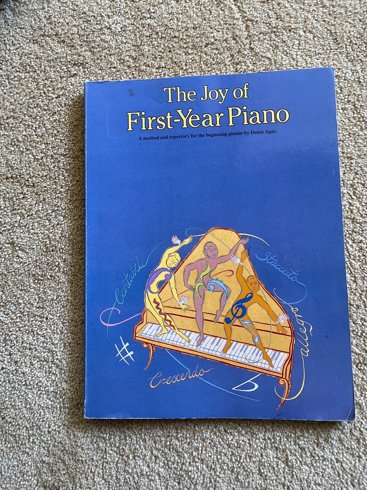The Joy of First-Year Piano - Pianoboek voor beginners, Gebruikt, Klassiek, Les of Cursus, Ophalen of Verzenden