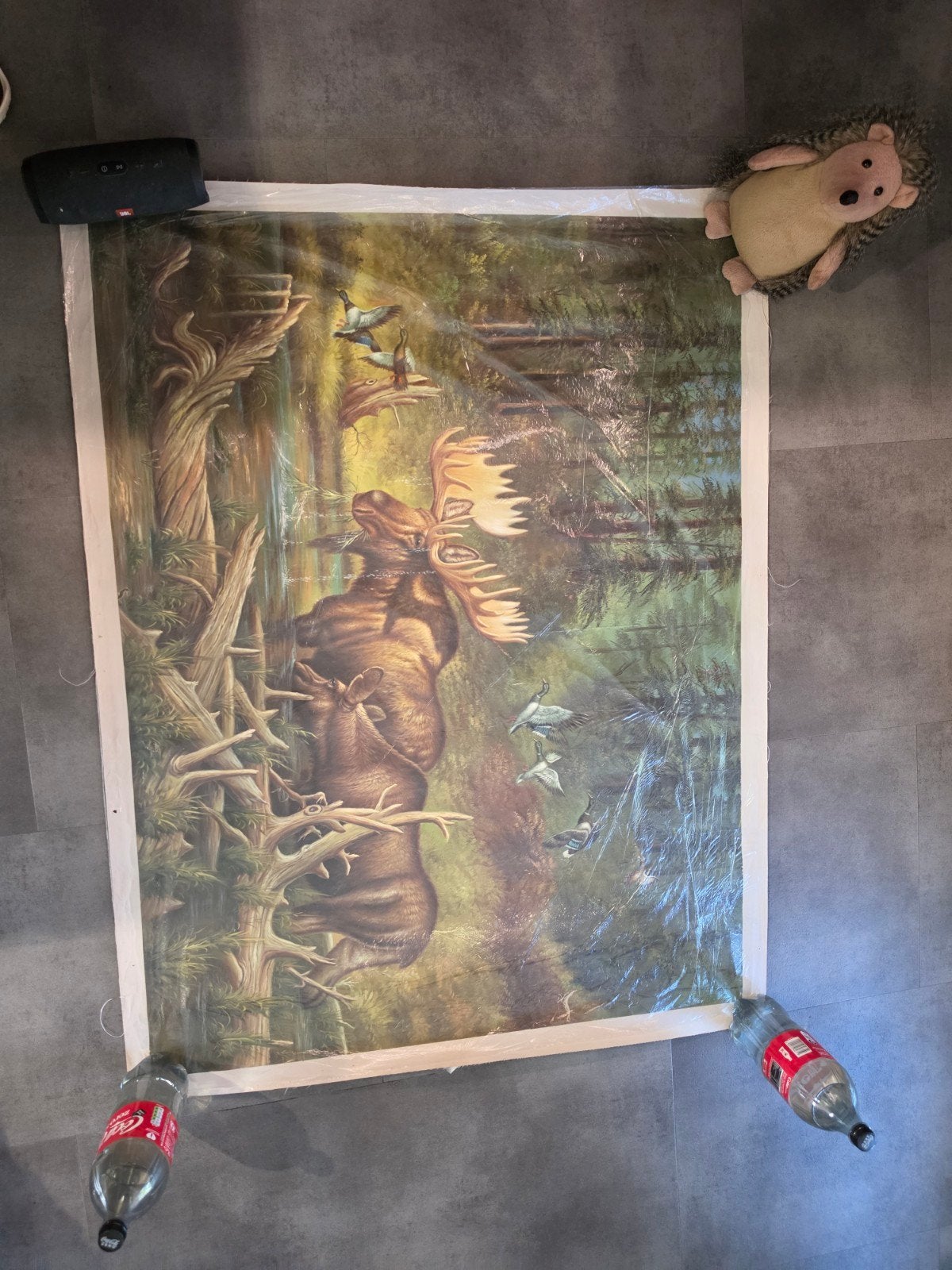 Groot schilderij op doek: Eland in bos (130x100cm), Ophalen, Dieren, Doek