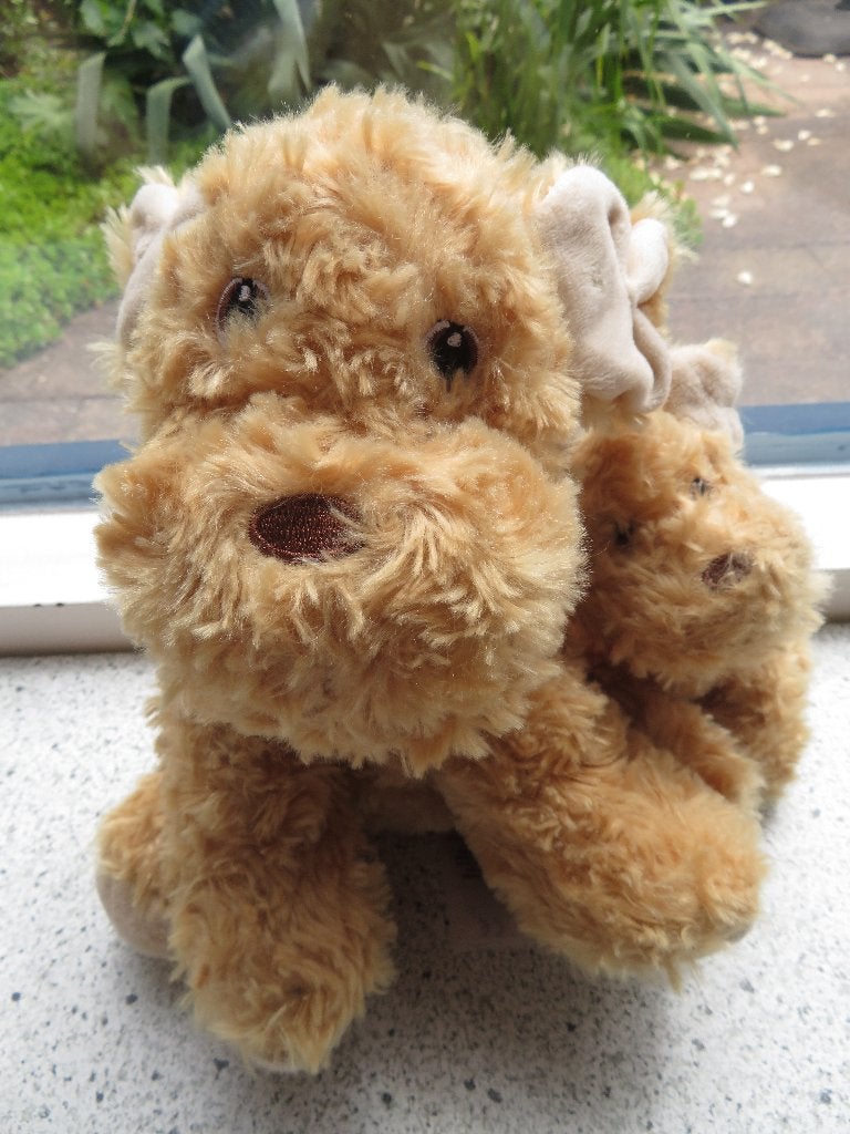 Hond met hondje puppy van Primark meten ca 15 cm en 25 cm, Zo goed als nieuw, Middelgroot (20 tot 80 cm), Beige, Hond