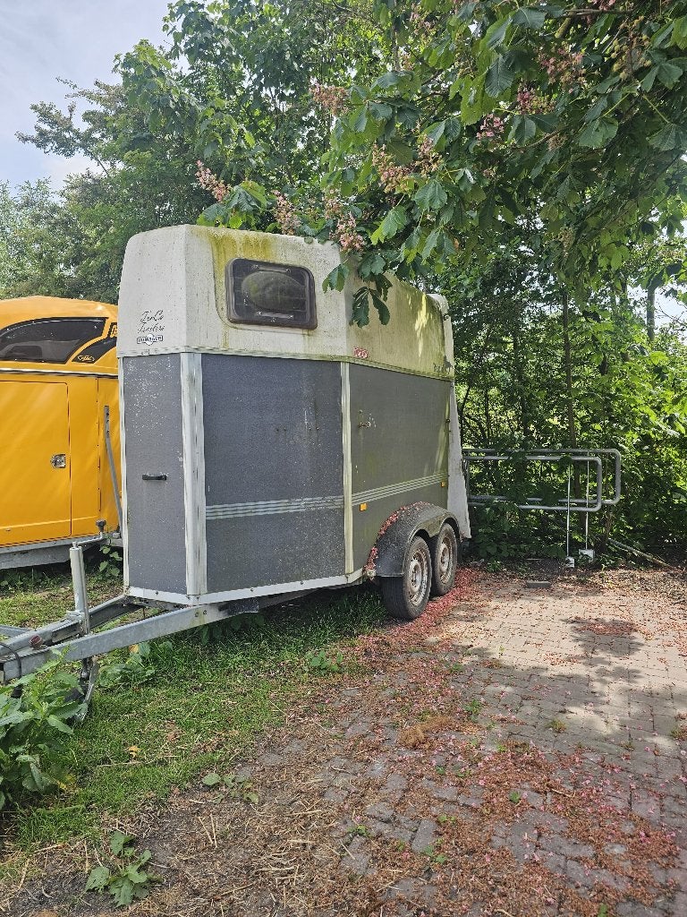 Paardentrailer opknapper, Ophalen, Gebruikt, Hout, 2-paards trailer