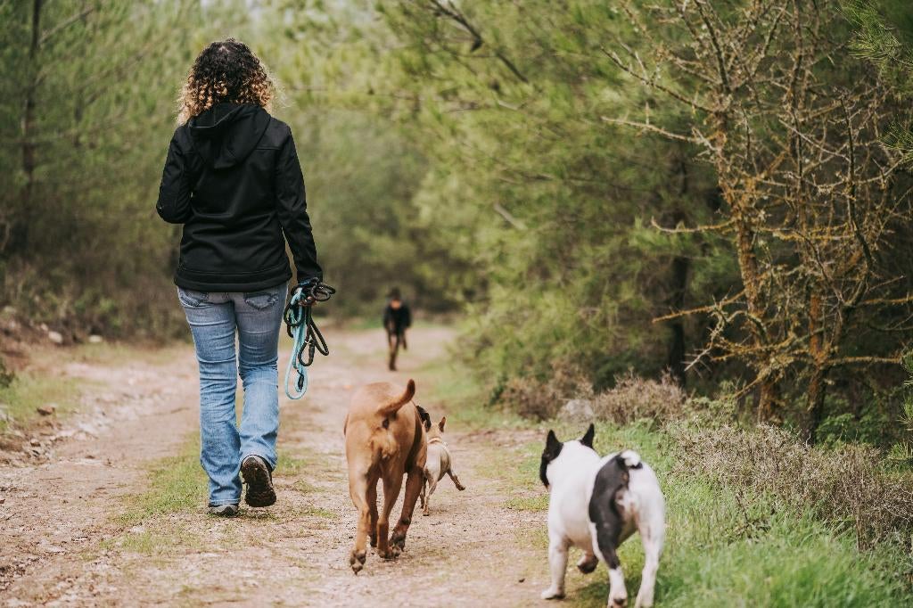 Gezocht: Stuk grond te huur, Dieren en Toebehoren