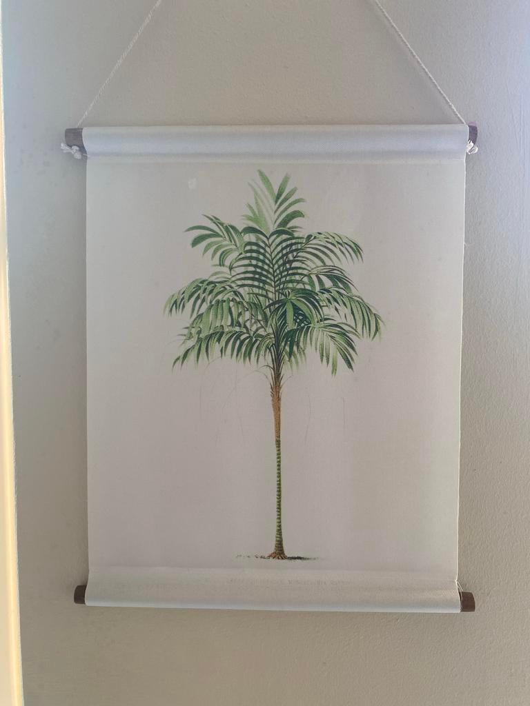Schoolplaat palmboom canvas wanddecoratie, Ophalen of Verzenden