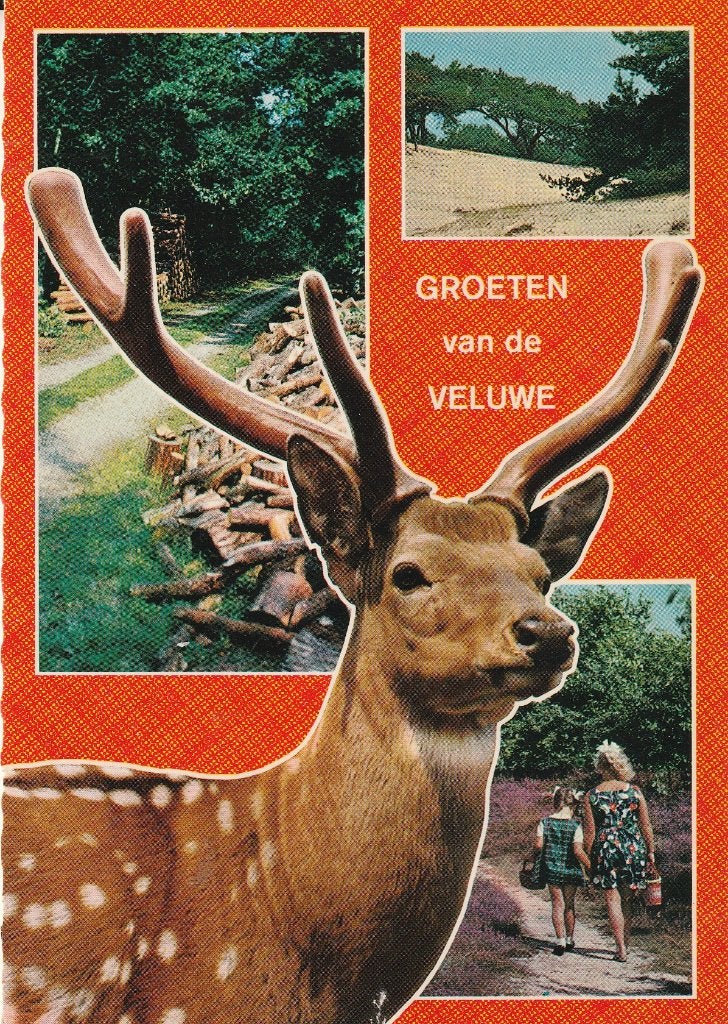 Groeten van de Veluwe 1971, Ophalen of Verzenden, 1960 tot 1980, Gelopen, Gelderland