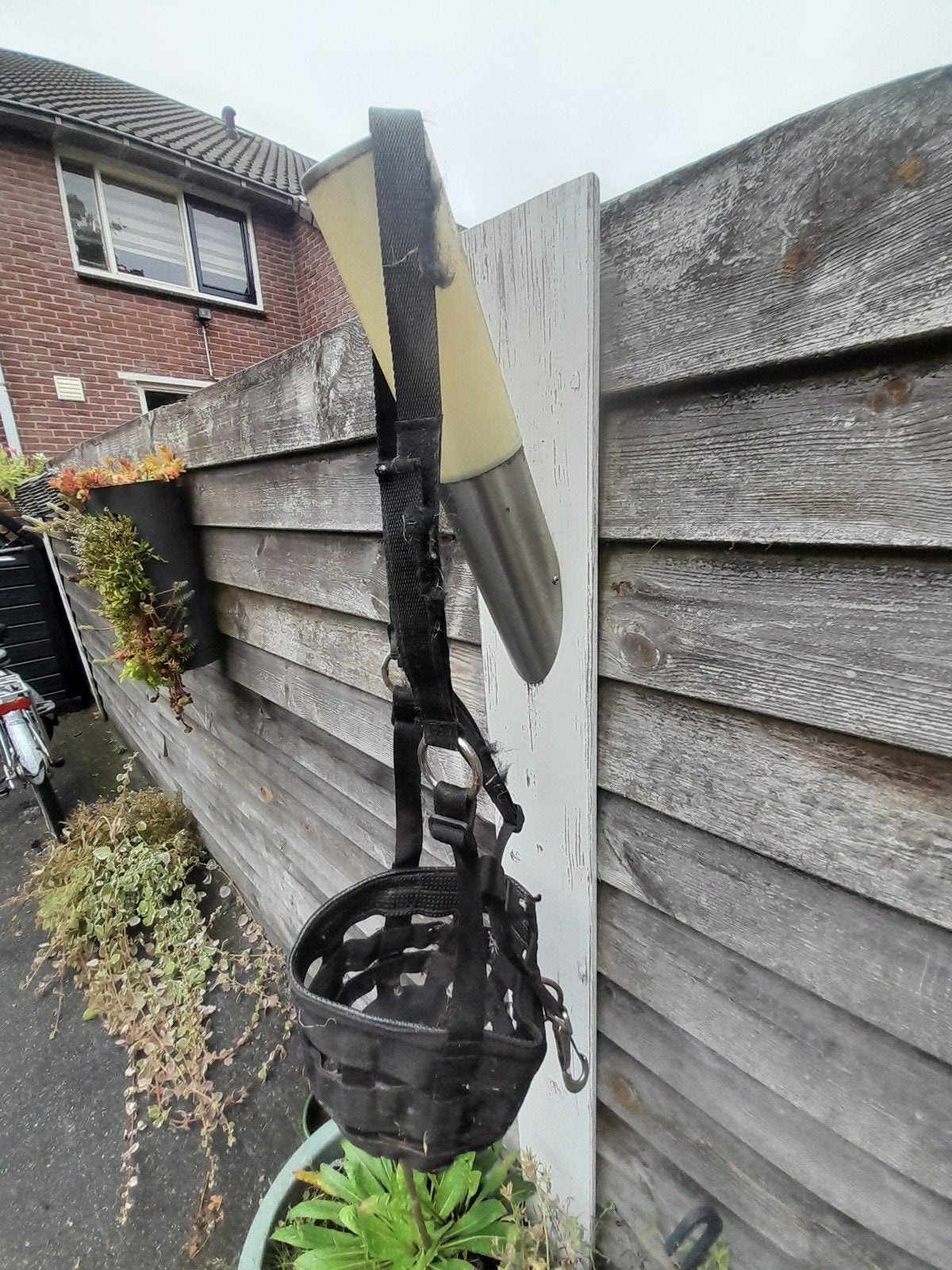 Graasmasker, Ophalen of Verzenden, Full