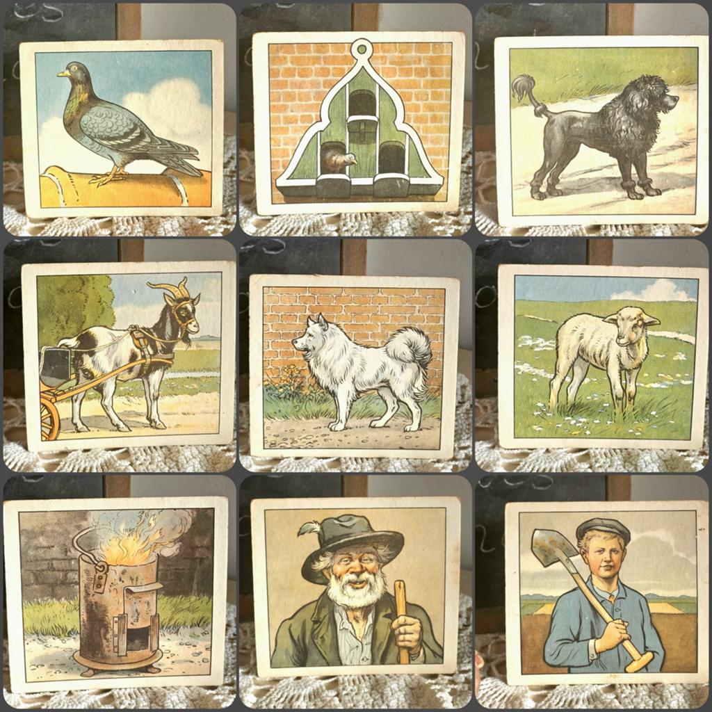 9 Oude grote vintage klassikale schoolkaarten Aap Noot Mies, Ophalen of Verzenden, Aardrijkskunde