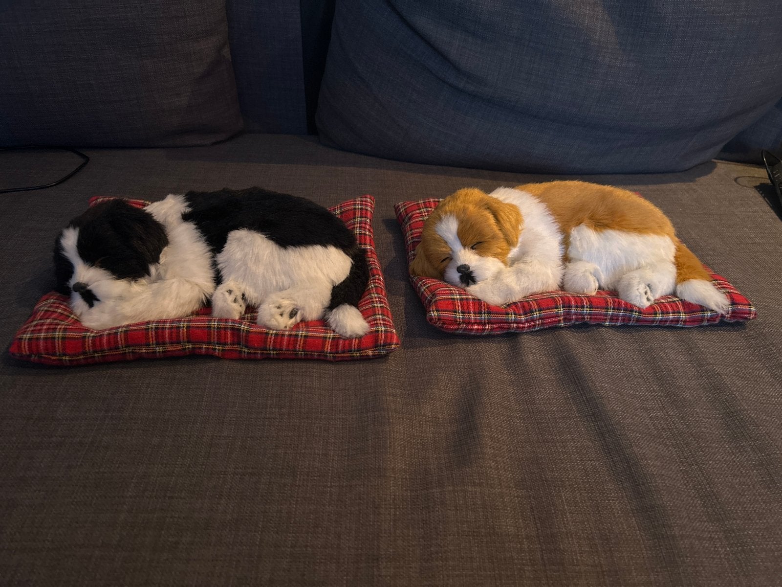 Schattige slapende puppy knuffels (set van 2), Overige merken, Overige karakters, Zwart, Zo goed als nieuw