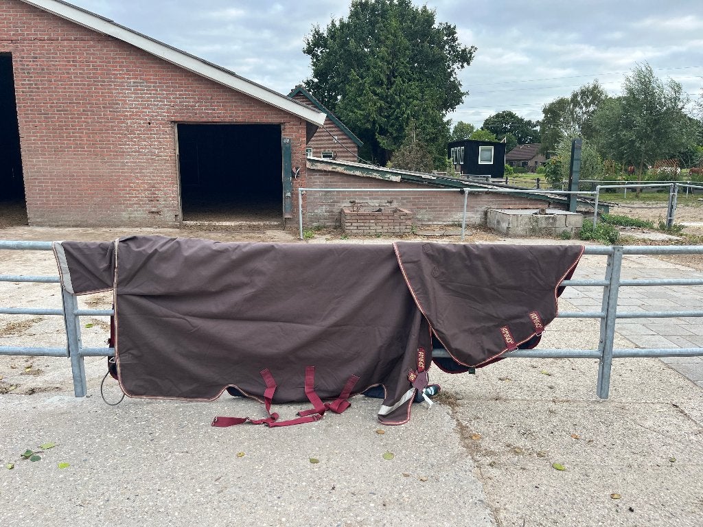 Amigo bravo 12 plus 100 gr, 213 met losse hals, Dieren en Toebehoren, Paarden en Pony's | Dekens en Dekjes, 100 g, Gebruikt, Regendeken