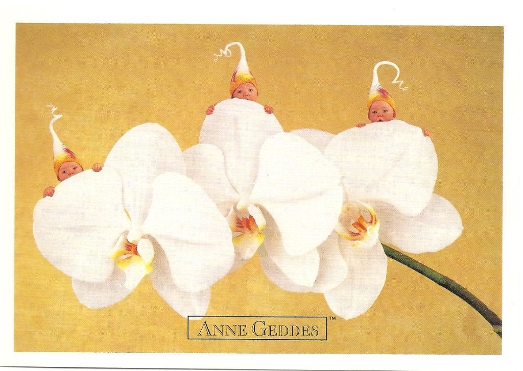 Anne Geddes, Verzenden, Ongelopen, Utrecht