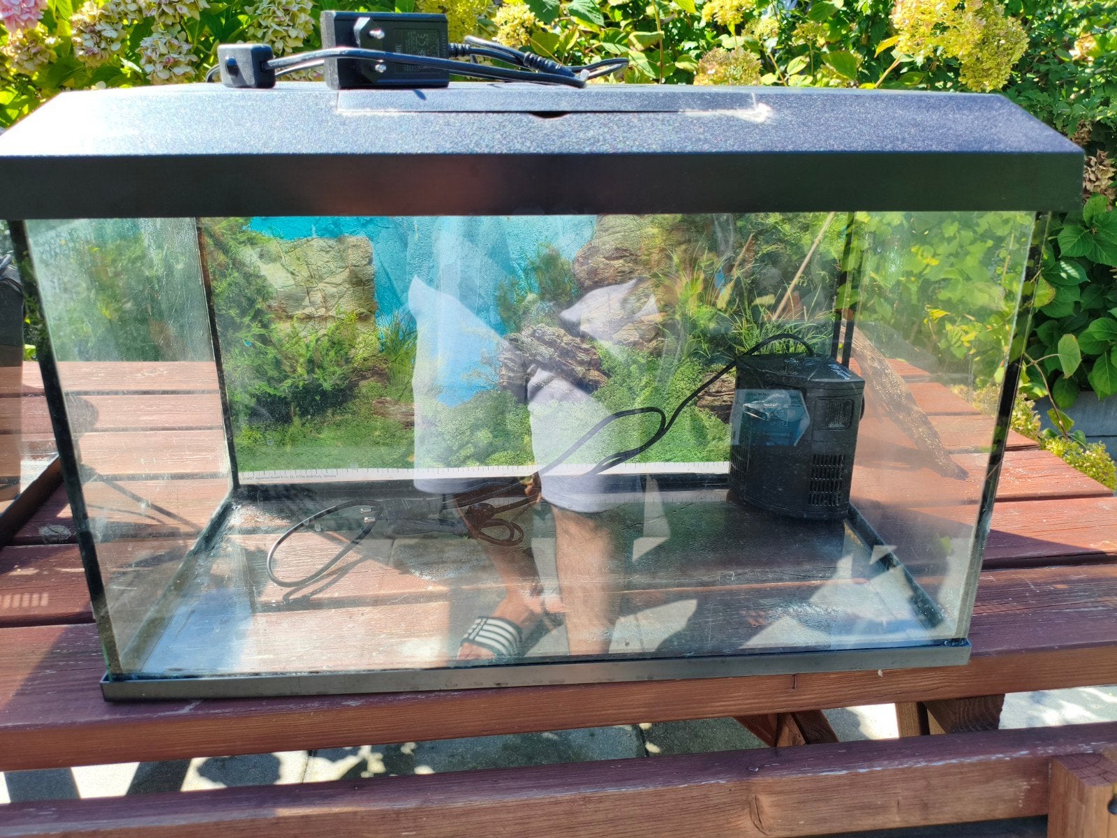 Juwel 60x35x30 aquarium, Dieren en Toebehoren, Ophalen, Gebruikt, Leeg aquarium, Inclusief deksel