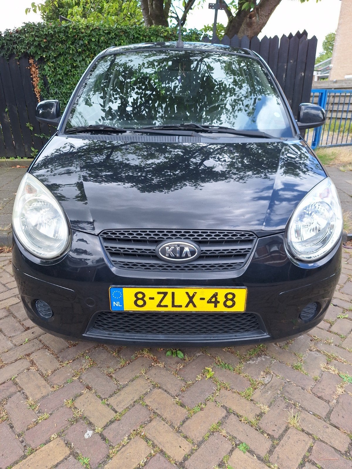 Kia Picanto 1.1 2011 Zwart, 4 cilinders, Zwart, 823 kg, Handgeschakeld