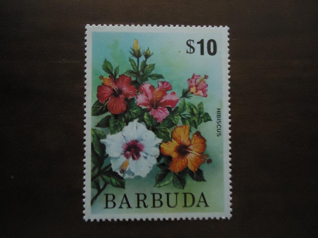 Flora hibiscus Barbuda 1975, mi. 233 postfris, Ophalen of Verzenden, Postfris, Dier of Natuur